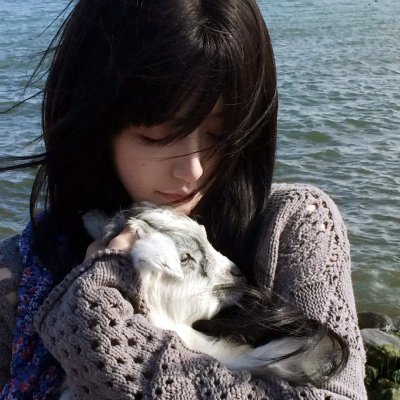 混沌行走